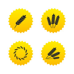 Agricultural icons. Gluten free symbols.