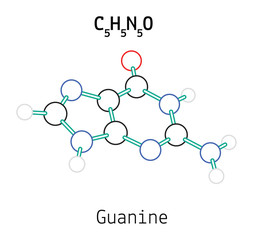 C5H5N5O guanine molecule