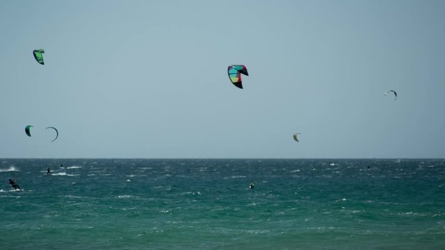 a large beach filled with kite surfers
