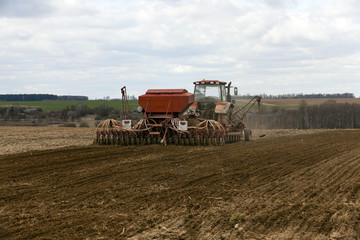 Fototapeta premium farm field cereals