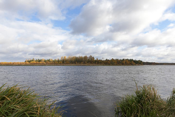 the river and the forest, autumn