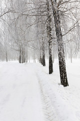 winter road with snow