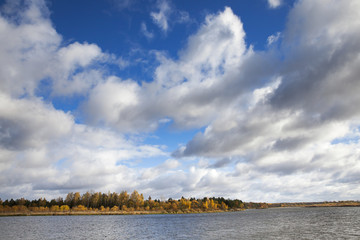 the river and the forest, autumn