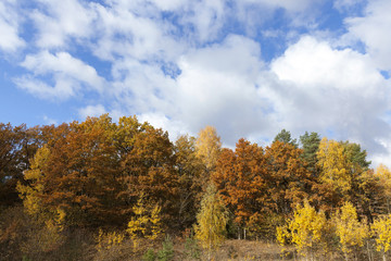 Nature in autumn season