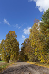 road in the autumn season