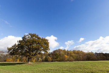 Fototapeta na wymiar Nature in autumn season