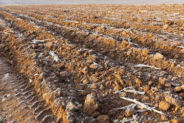 plowed land, frost