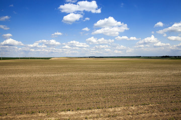 plowed for crop land