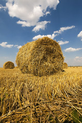 haystacks straw, close up