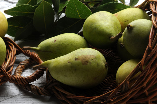K&scaron;u&scaron;ka Hru&scaron;ka Pere Peras Poire 梨 Bir Pera P&aelig;re Pirn 