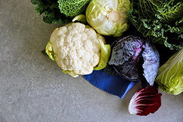 Different kinds on cabbage, top view
