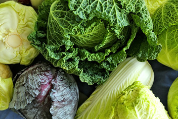 Different kinds on cabbage, closeup