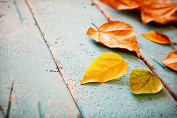 Autumn background with dry leaves on wooden table