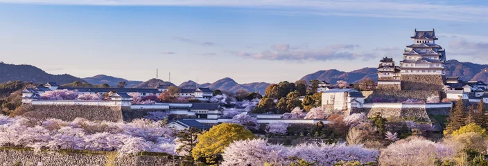Fototapete Schloss Japan Himeji Castle mit Licht in der Sakura-Kirschblütensaison