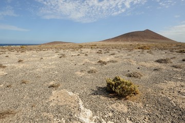 Desert dunes in Tenerife