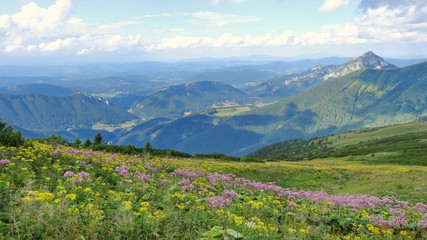 Slovakia mountain Mala fatra. Slovakia 
