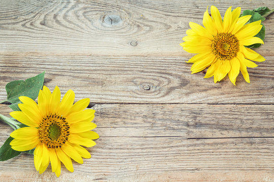 Background with  sunflowers on old wooden boards. Space for text