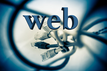 Twisted into a bundle of wire and patch cords. inscription Web.
