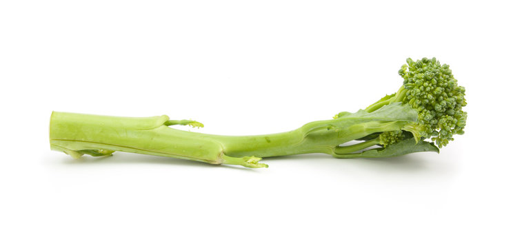 broccolini baby broccoli isolated