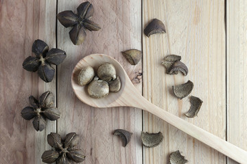 Legumes of Sacha inchi or Inca peanut on wood background.