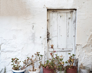 Old White Door