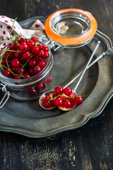 Vintage kitchen staff and fresh red berries