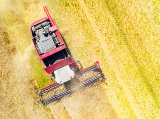 Aerial view of combine harvester. Harvest of rapeseed field. Industrial background on agricultural...