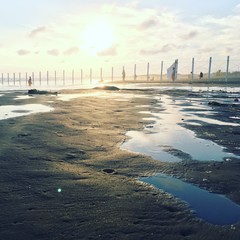 sunset 鵠沼海岸