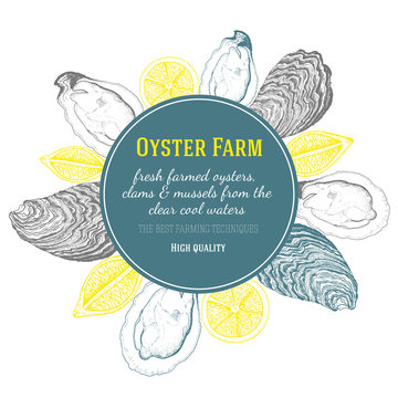 Vector illustration of oyster. Oyster farm and oyster restaurant design template.