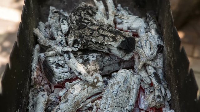 Food. Preparation of roasted meat on the fire outdoors for a picnic and relax.