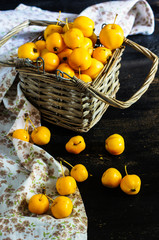 Autumnal concept with crab apples