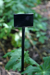 Direction pointer without words