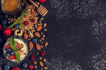 Tasty ingredients (granola, honey, berries, yogurt and nuts) for