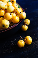 Autumnal concept with crab apples