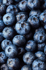 Blueberries texture