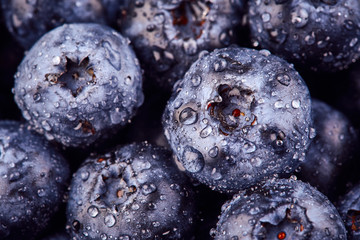 Blueberries background with drops of water