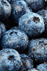 Blueberries with drops of water