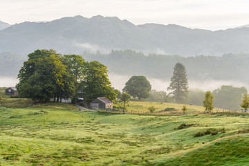Fototapeta na wymiar Lingering mist with morning sunlight hitting green trees in the English Lake District.
