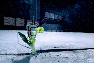 Is there life on moon