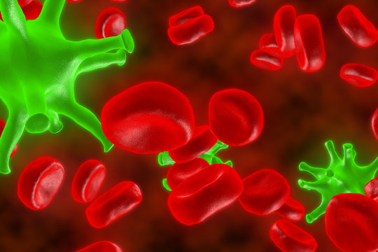 The red blood cells. 3D render of blood defeat the virus. Red blood cells are fighting the bacteria. Protection of cages of an organism.