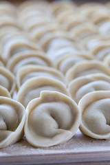 Meat dumplings