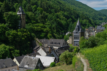 Fototapeta na wymiar Medieval village Bacharach. City panorama from hill, covered by vineyard. Rhine valley, Germany.