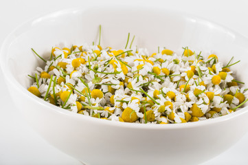 camomile tea with honey