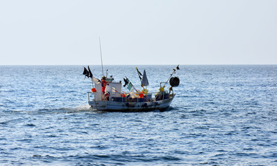 Obraz premium Croatia, Istria