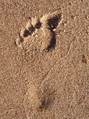 Woman single footprint in wet beach sand