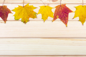 Naklejka na ściany i meble Autumn background with leaves on wooden board.