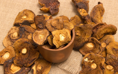 Dried mushrooms on canvas