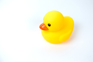 Yellow rubber duck on White Background