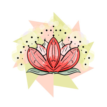 Sacred lotus. Vector illustration of the flower. Bloom