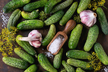 Cucumbers for pickling